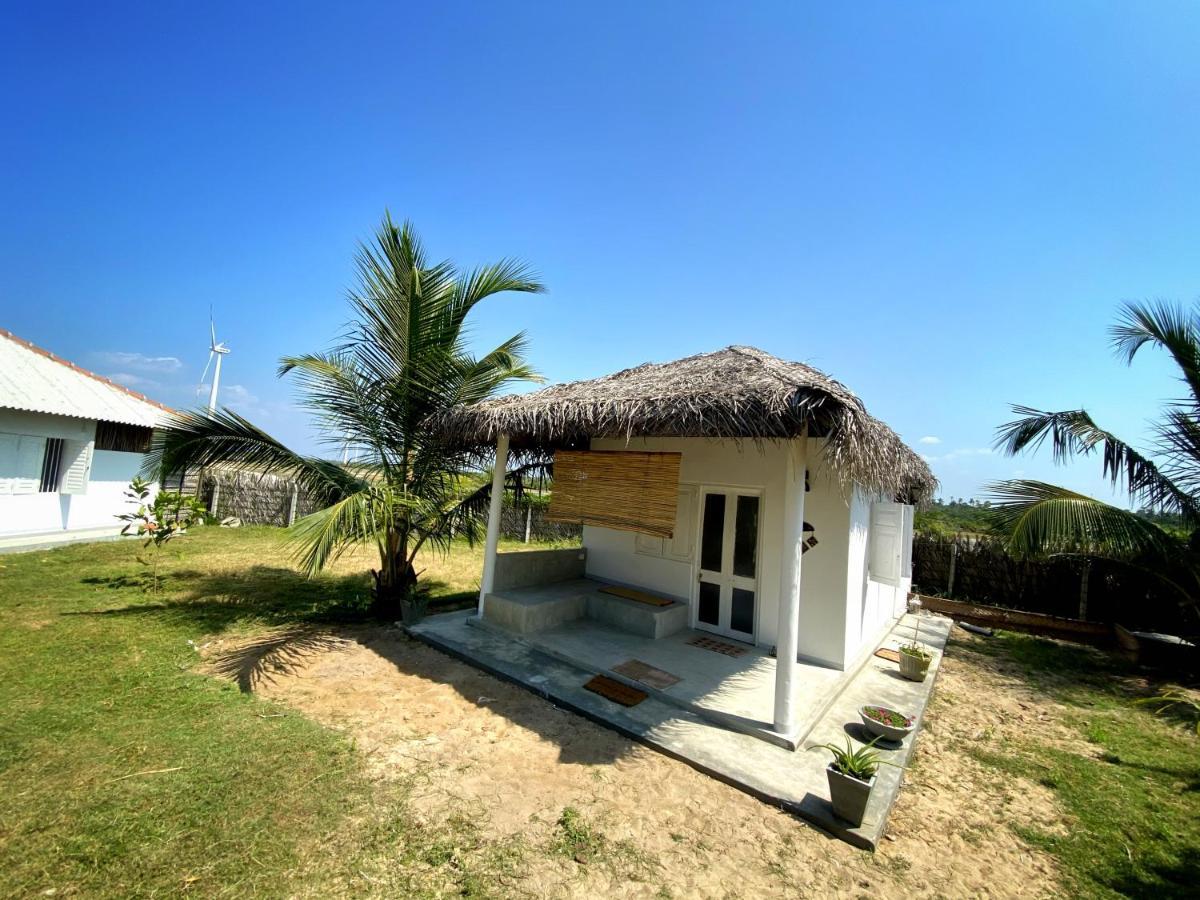 Coco Cabana Kite Resort คัลพิทิยา ภายนอก รูปภาพ